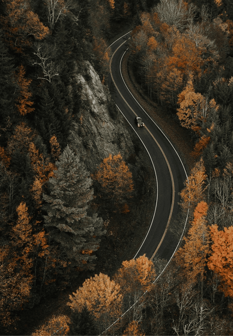 North Carolina road with trees during fall with bright orange and yellow leaves