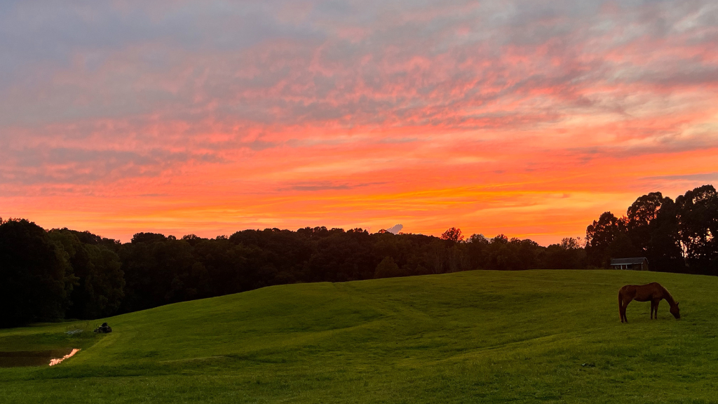 farm sunset