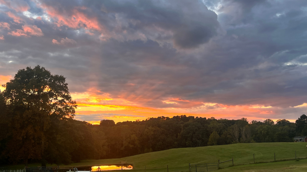 sunrise on farm